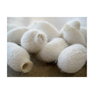 Rouleau de remplissage en coton cocon de soie feuille de frappe en fibre douce naturelle pour couette oreiller couette couche intérieure matériau Textile léger - Product Image 3