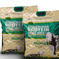 Graines de protéines de millet Kohenoor de qualité supérieure, fourrage nutritif de qualité A1 pour bétail, pureté 99,9 %, certifié HACCP, origine Pakistan