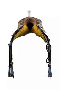 Uitzonderlijk vakmanschap, hoogwaardig duurzaam leer, bruin glasvezel/houten western barrel racing zadelset voor paarden - Product Image 4