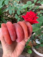 Dattes séchées en vrac du Vietnam, fruits exotiques naturels de qualité supérieure pour garnitures de yaourt, pâtisserie, confiserie, infusion de thé et cuisine gastronomique