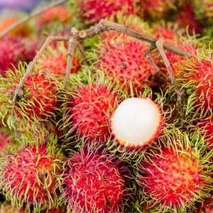 Rambután Fresco de Alta Calidad de Vietnam - Fruta Tropical Dulce y Jugosa - Product Image 6
