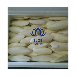 กระดูกปลาหมึกคุณภาพสูงสำหรับการเสริมแคลเซียมที่จำเป็นในนกสัตว์เลี้ยงและพื้นผิวที่แหลมจะงอยปากตามธรรมชาติ - Product Image 1