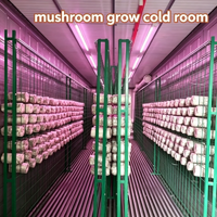Chambre de culture modulaire pour champignons, conteneur d'agriculture intérieure à climat contrôlé avec système d'économie d'énergie