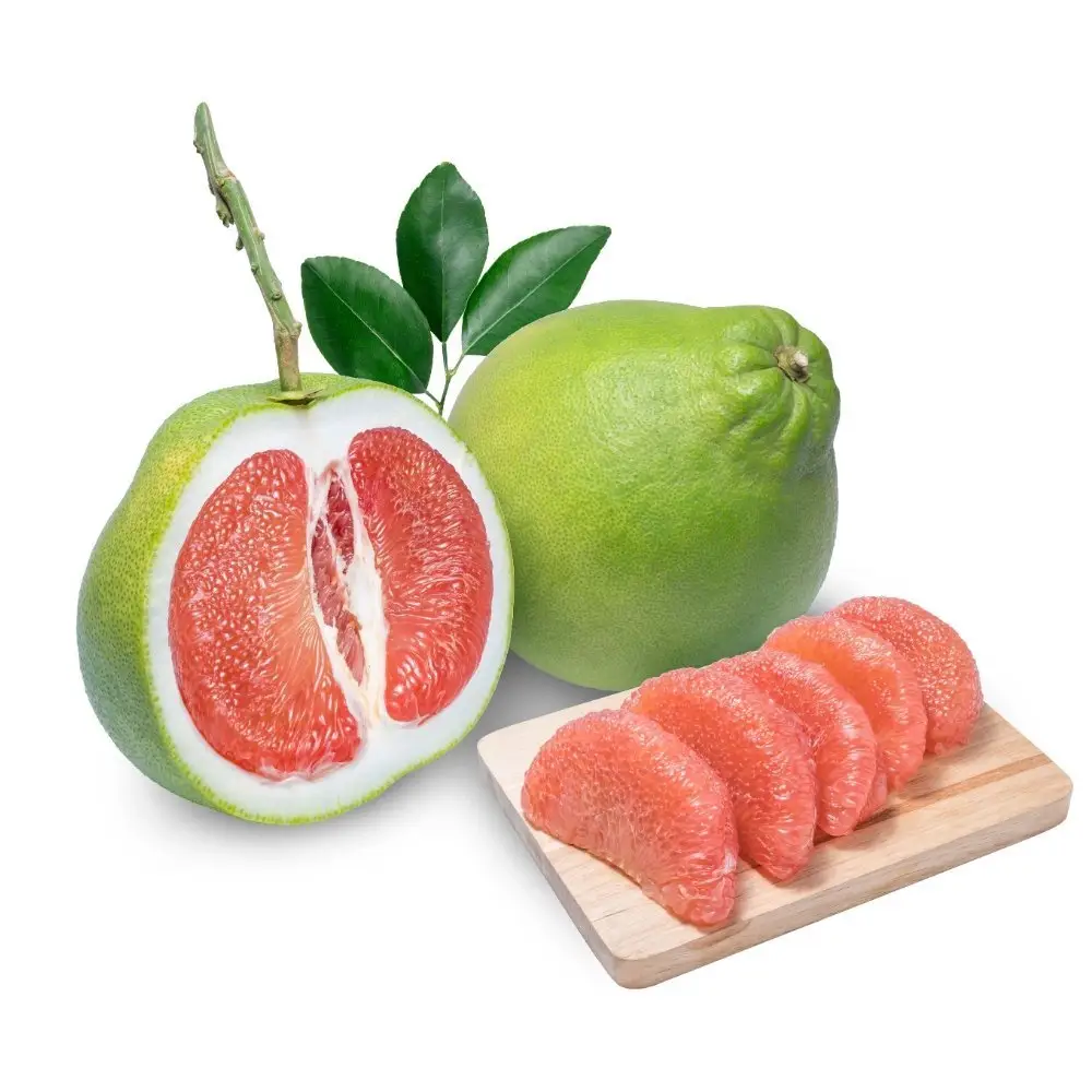 POMELO CITRUS FRUIT/ Good Price Green skin pomelo grapefruit With pink flesh Fast Delivery