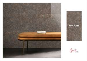 Azulejos de Porcelana Esmaltada con Aspecto de Granito de Calidad de Exportación, Color Marrón Moneda - Product Image 2