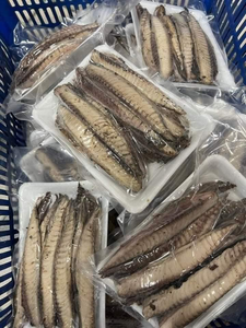 Pescado Scad Congelado al Vapor, Caballa Congelada, Pescado Scad de Alta Calidad, Vietnam, Pescado Scad Congelado al Vapor Envasado al Vacío ANGLE - Product Image 5