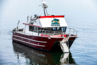 Kinocean Factory Supply Catamaran de pêche personnalisable OEM avec cabine, bateau de plaisance pour la pêche en haute mer et les loisirs, moteur hors-bord