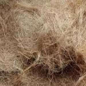 Fibre de coco de qualité exportée, fibre de coco forte et propre, parfaite pour les grossistes mondiaux et les acheteurs industriels - Product Image 3