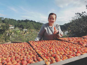 Auténtico sabor natural dulce de caqui seco de Vietnam, empaquetado de calidad superior para etiquetas OEM de exportación, compradores globales de supermercados - Product Image 4