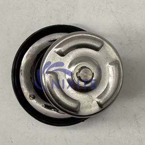 89018168 termostato cera per GM - Product Image 4