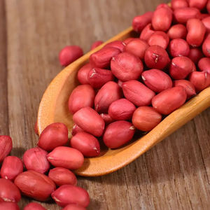 Núcleos Secos Crudos al por Mayor para Marcas de Snacks y Productores de Confitería - Suministro de Maní 100% Natural - Product Image 2