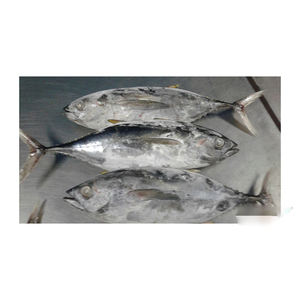 ปลาทูน่าเยลโลว์ฟินแช่แข็งขายส่ง คุณภาพมาตรฐานส่งออก - Product Image 3
