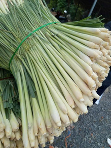 Vente en gros de citronnelle fraîche 100% sans taxe en provenance du Vietnam, produit agricole de qualité supérieure - Product Image 2