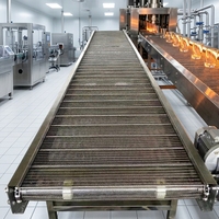 Draadgaasbandtransportband van roestvrij staal 304 voor het wassen, bakken, koelen en transporteren van fruit en voedsel.