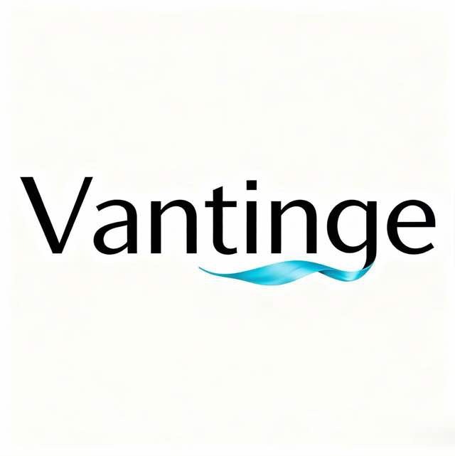 Fuzhou High Tech Zone Vantinge Clothing Co., Ltd. logo