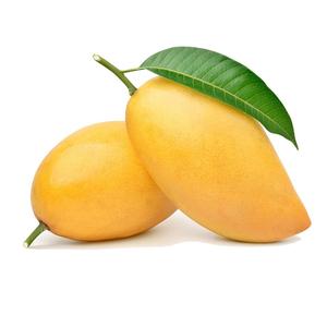 Mangue jaune fraîche et savoureuse de qualité supérieure, qualité de gros, taille 12-16 cm, origine Portugal - Product Image 6