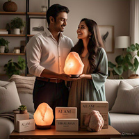 Lampe de sel de l'Himalaya naturelle certifiée GMP, sculptée, Feng Shui, amour, matériau organique, écologique, emballage complet, 2-3 kg, la meilleure