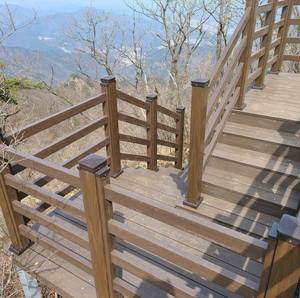 Plataforma de Madera Compuesta WPC Anywood, Certificada de Alta Gama, Antideslizante, Impermeable y Ecológica para Uso en Exteriores, Global - Product Image 1