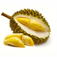 Verse Durian Monthong Vietnam Export-Viet Delta Verse Fruit Eco-Fruit 30-45 dagen houdbaarheid -18°C opslag