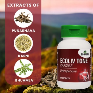 Offre Spéciale Capsules à base de plantes ayurvédiques Ecoliv Tone pour maintenir l'énergie et le mode de vie actif disponibles au prix d'exportation - Product Image 5