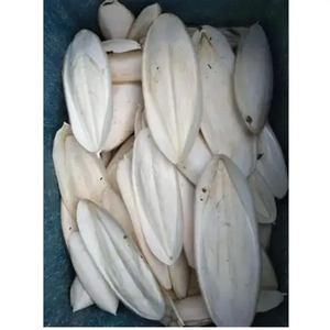 HOT DEAL CUTTLEBONE SUPPLY IN BULK EXPORT WITH BEST PRICES - Product Image 5