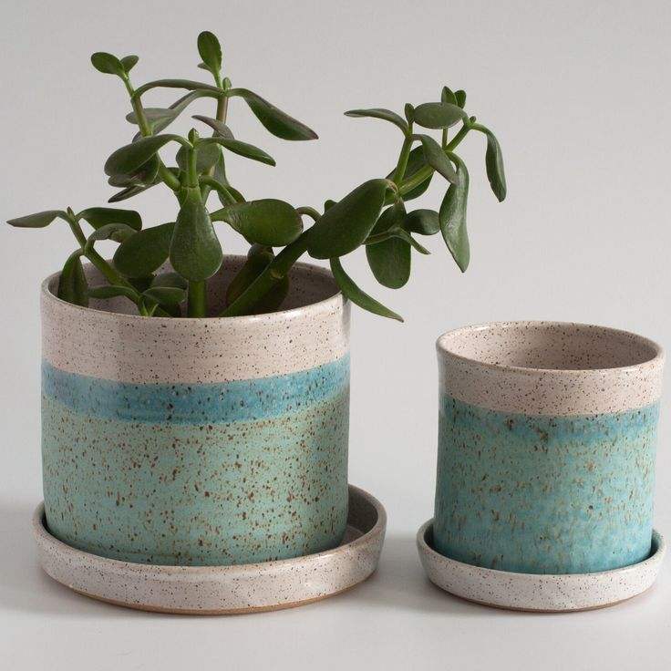 สีเขียวอ่อน