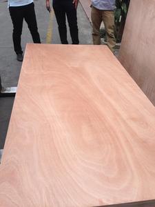 แผ่นไม้อัดไม้อัดติดผนังขนาด4x8สำหรับตกแต่งอพาร์ทเมนท์ในร่ม E0/E1/E2แบบติดกาวแบบ WP ใช้ในเชิงพาณิชย์ขนาด4x8ที่ทันสมัย - Product Image 3