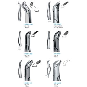 Instrument chirurgical dentaire à poignée anatomique en acier inoxydable OEM, pinces à extraire les dents, forceps radiculaires pour extraction dentaire manuelle - Product Image 2