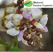 1000L IBC Emballage Karanja huile soluble dans l'eau disponible à l'emballage personnalisé avec étiquette Karanja Oil émulsifiant soluble dans l'eau - Product Image 3