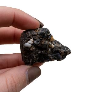 Turtella naturelle de haute qualité. Pierre brute Minéraux de roche brute pour la guérison naturelle Cristal Grossiste de pierres précieuses brutes - Product Image 2