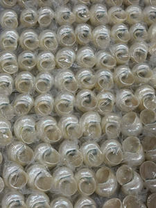 Coque turbo verte naturelle de qualité supérieure du Vietnam pour les remplisseurs de vases d'aquarium et la décoration côtière faite à la main - Product Image 4