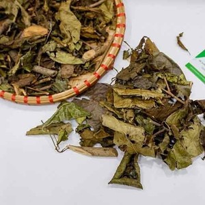 Natural Celastrus Hindsii Powder <b>Tea</b> 4.59 oz Dried Yellow Celastrus hindsii Leaf Powder Vietnam - Product Image 5