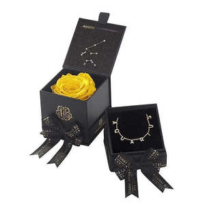 Aquarius Astor Personal <b>Gift</b> <b>Set</b>-Box & Necklace Bundle - Product Image 3