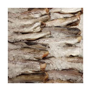 Đông lạnh <span class=keywords><strong>Alaska</strong></span> <span class=keywords><strong>Pollock</strong></span> bán buôn số lượng lớn cung cấp cao cấp Hải sản xuất khẩu - Product Image 2