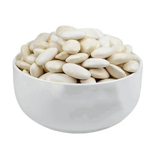 Haricots blancs de qualité en gros Emballage en vrac de grande taille pour exportation - Product Image 3