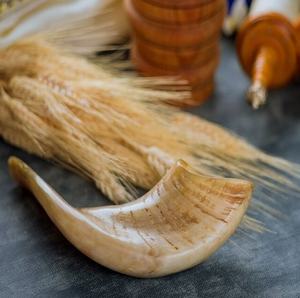 ฮอร์น shofar ฮอร์นทำด้วยมือ - Product Image 2