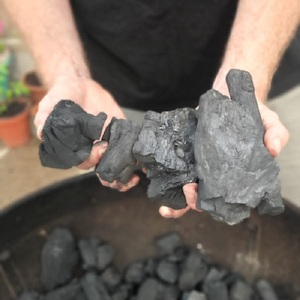 Charbon de bois dur de bois dur de haute qualité Charbon de bois de tamarin Charbon de bois de barbecue Prix d'usine - Product Image 2