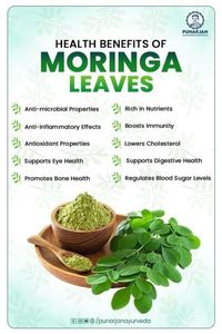 Poudre naturelle de feuilles de moringa sauvage pour smoothies et suppléments - Product Image 5