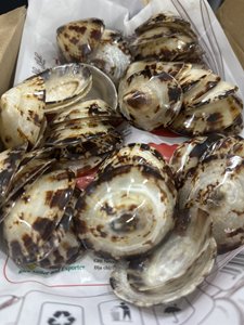Coquille de limpet naturelle faite à la main du Vietnam, de haute qualité, pour commande en gros décorative - Product Image 6