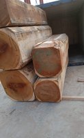 Bois de Iroko de qualité supérieure à vendre - Origine européenne, bois dur de haute qualité pour revêtements de sol et meubles