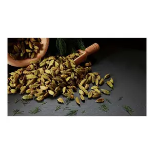 Natural Best Quality Fresh Green Cardamom seeds Spice for Wholesale green cardamom dry Best cardamom price