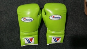 2024 último diseño al por mayor logotipo personalizado gimnasio entrenamiento gimnasio guantes 8oz 10oz 12oz 14oz PU cuero impermeable BHRIGHT WAY - Product Image 4