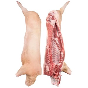 Carcasse de corps de porc frais congelé de haute qualité emballée en vrac - Product Image 6