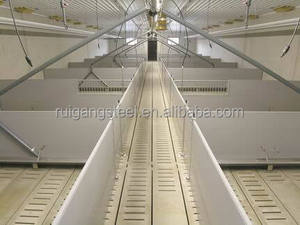 Casa prefabbricata del maiale del metallo con i pannelli di parete Anti-corrosione e la disposizione interna divisa - Product Image 4