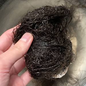 Mousses noires séchées vietnamiennes Fat Choy pour soupe aux herbes Fournisseur en gros - Product Image 4