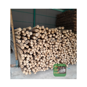 Pôles en bambou 100% naturels pour la décoration de la construction avec des pôles en bambou de haute qualité en gros directement de l'usine - Product Image 3