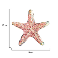 Parche Termoadhesivo de PVC con Lentejuelas de Estrella de Mar para Sombreros, Bolsos, Prendas, Textiles del Hogar y Regalos