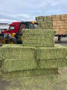 Alfalfa Premium para alimentación animal/heno de alfalfa a la venta a precios competitivos - Product Image 6