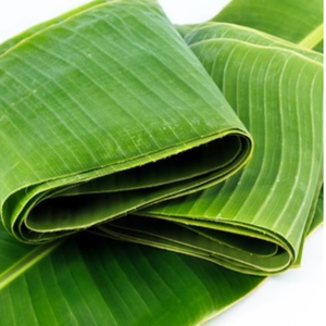 Suministro a granel de hojas de plátano congeladas de primera calidad del fabricante de Vietnam - Product Image 4