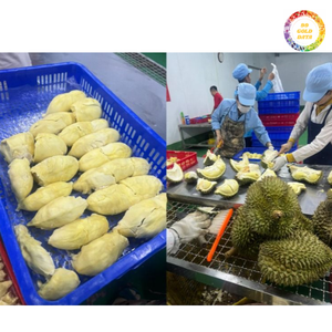 ทุเรียนแช่แข็งจากเนื้อทุเรียนสดบริสุทธิ์สำหรับทำอาหารการอบและการเตรียมสมูทตี้ของแท้จากเวียดนาม - Product Image 6